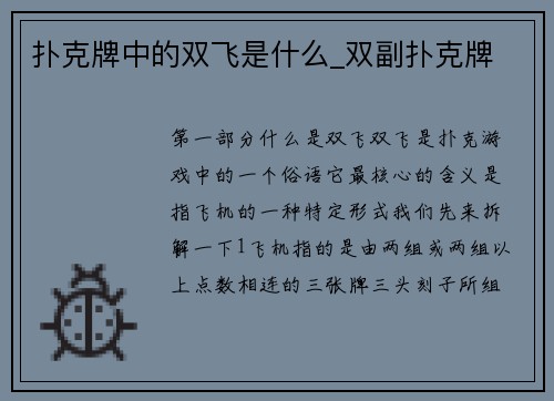 扑克牌中的双飞是什么_双副扑克牌